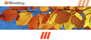 Newsletter header image - March 2023